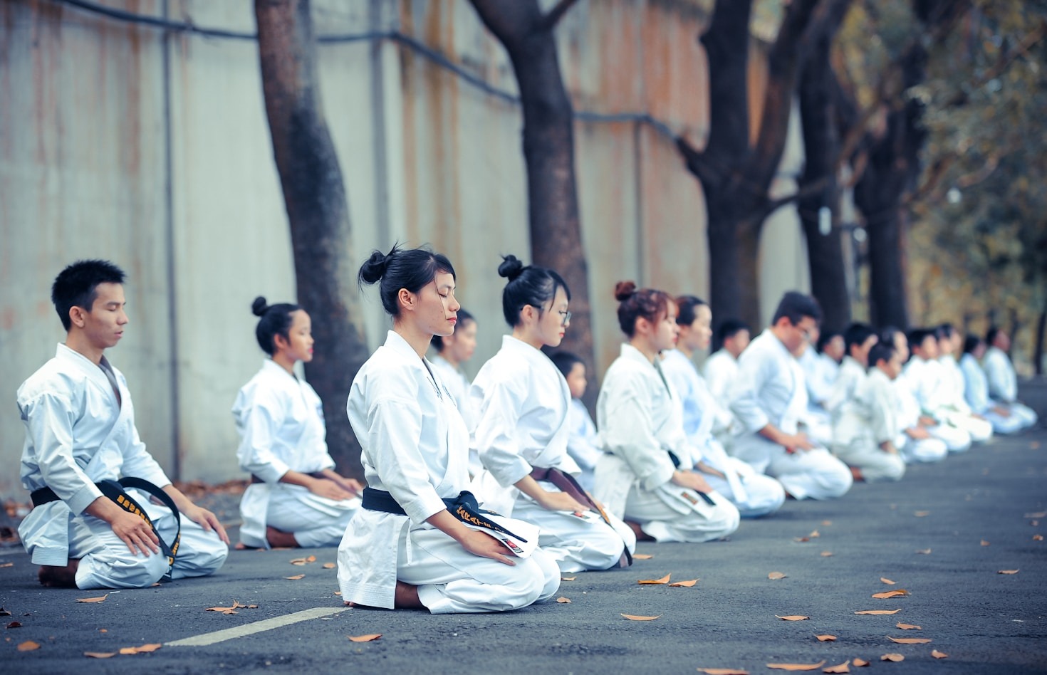 The Evolution of Tai Chi in Modern Times